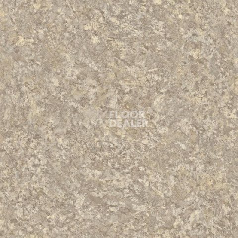Линолеум Tarkett Sprint Pro DELIO 3 фото 1 | FLOORDEALER